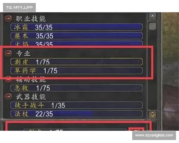 魔兽世界怀旧服:完美关闭技能施法条 魔兽世界怀旧服:完美关闭技能施法条